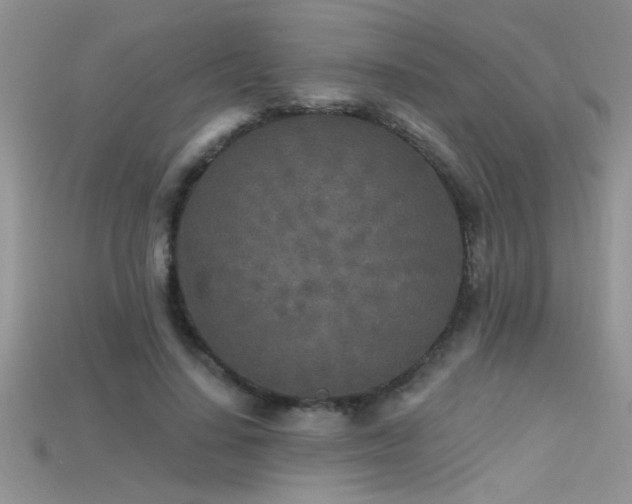 X0000115690644200911121308