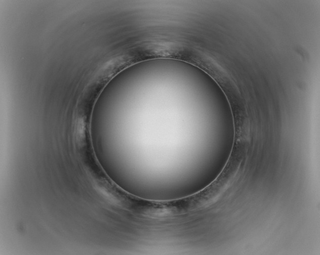 X0000115690646200911121308