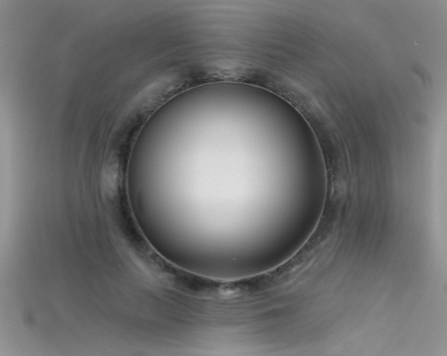 X0000115690647200911121308