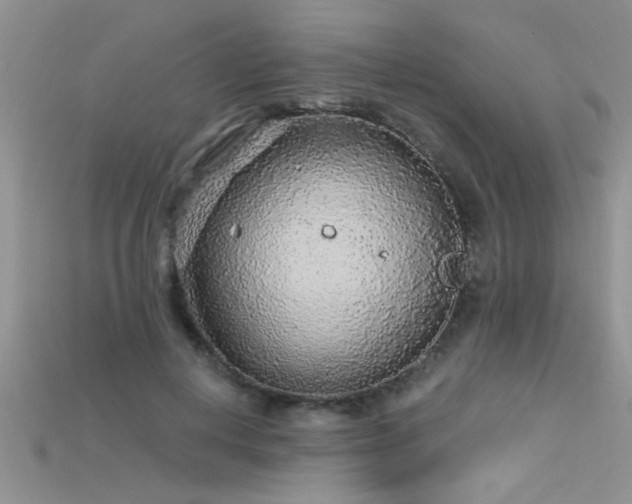 X0000115690648200911121308