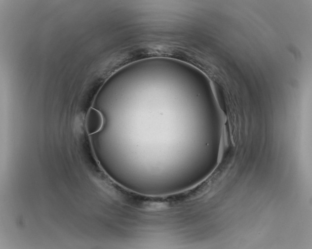 X0000115690649200911121308