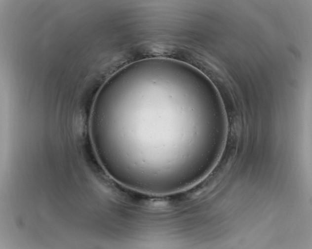 X0000115690651200911121308