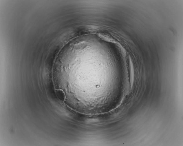 X0000115690653200911121308