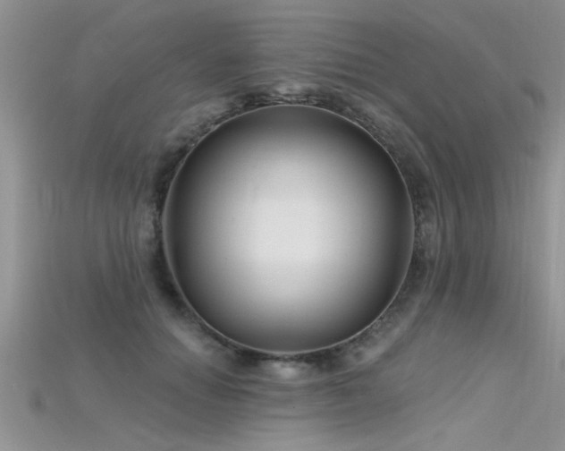 X0000115690654200911121308