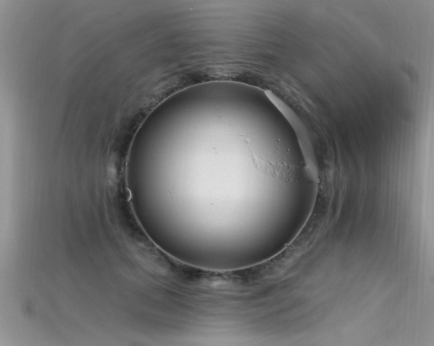 X0000115690655200911121308