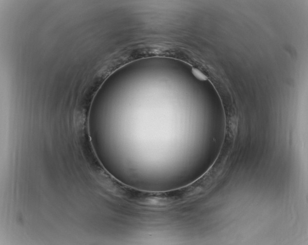 X0000115690657200911121308