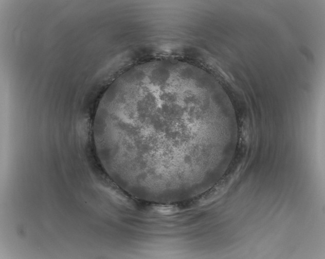 X0000115690659200911121308