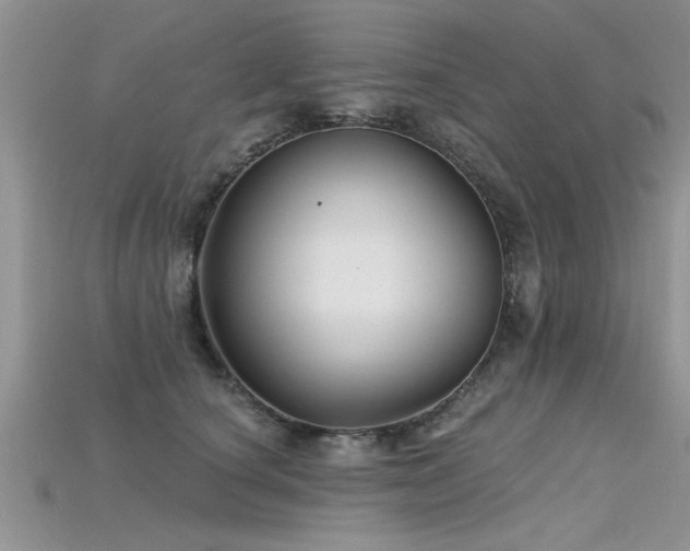 X0000115690660200911121308