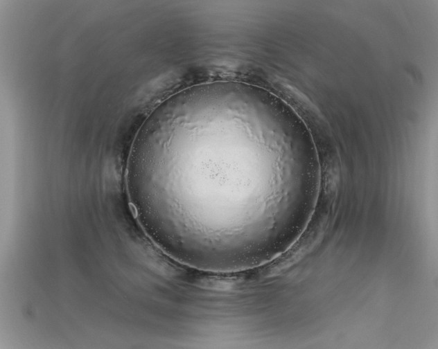 X0000115690661200911121308