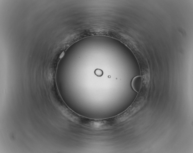 X0000115690662200911121308