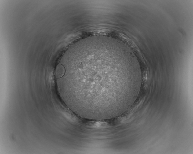 X0000115690663200911121308