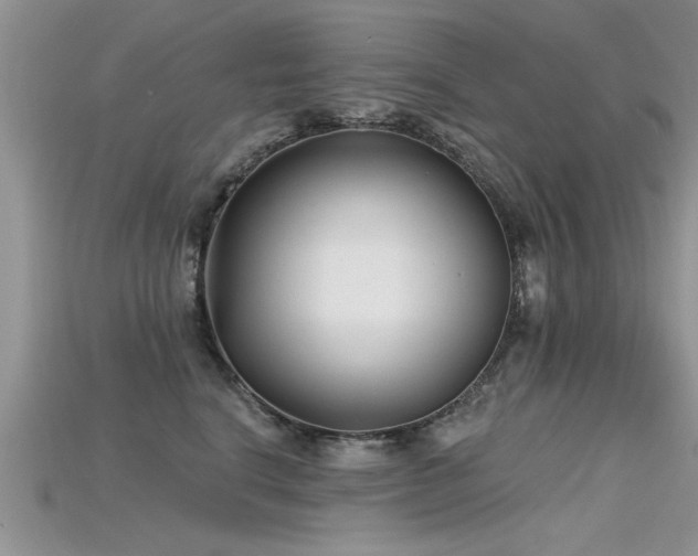 X0000115690664200911121308