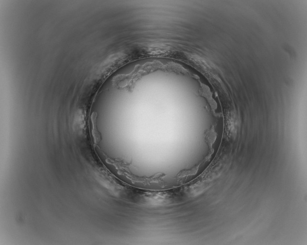 X0000115690667200911121309