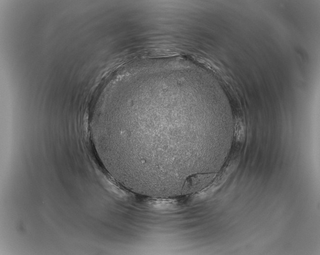 X0000115690670200911121309