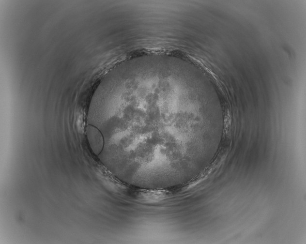 X0000115690671200911121309