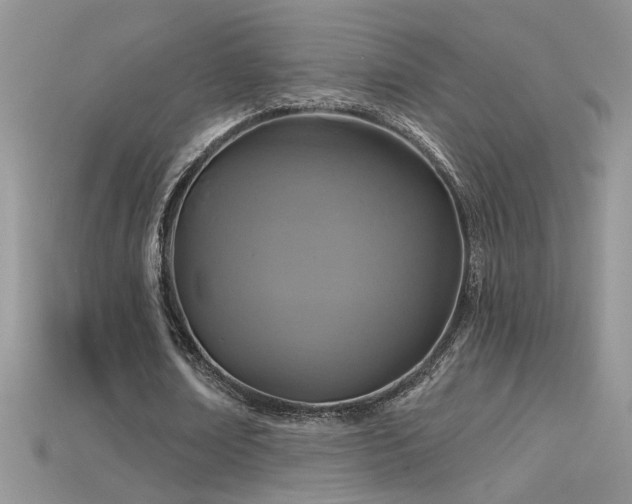 X0000115690674200911121308