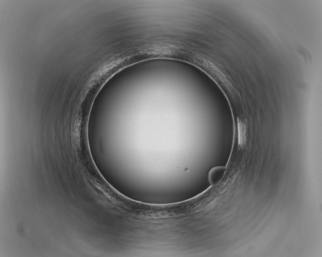 X0000115690675200911121308