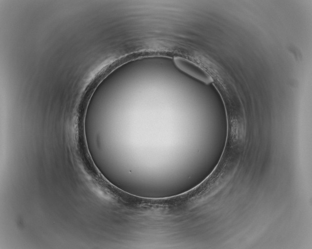 X0000115690676200911121308