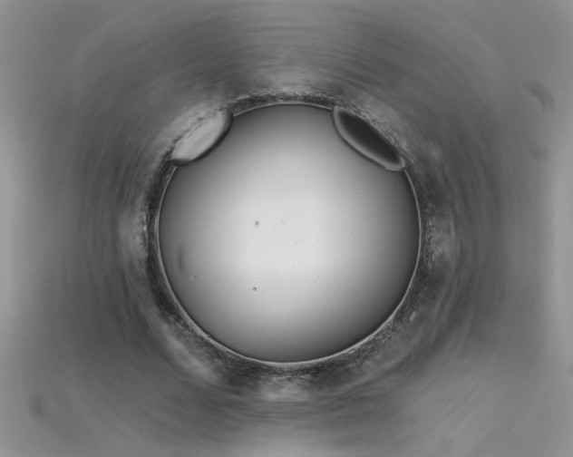 X0000115690680200911121308