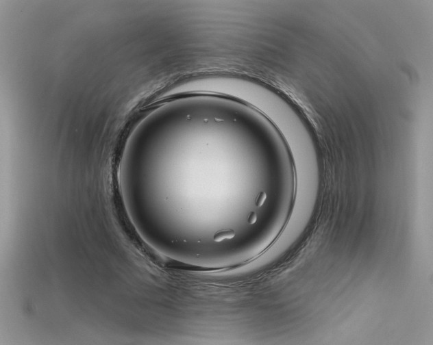 X0000115690681200911121308