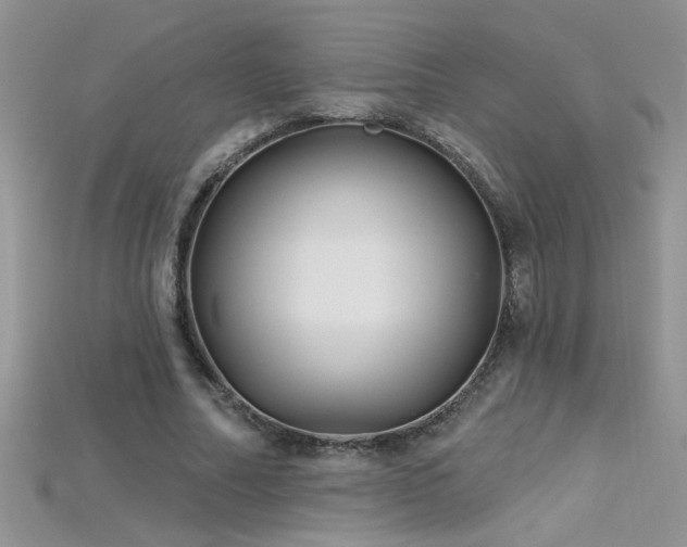 X0000115690682200911121308