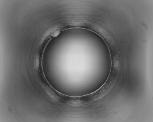X0000115690685200911121308