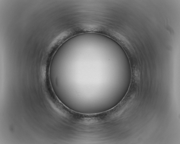 X0000115690686200911121308