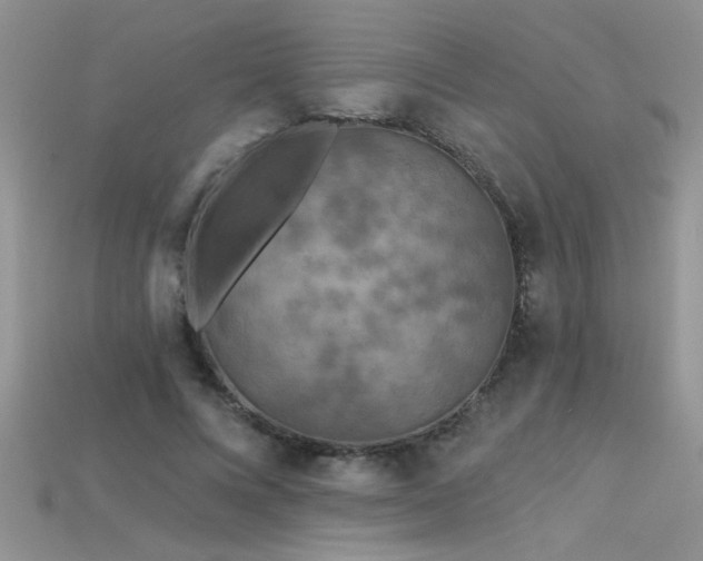 X0000115690688200911121308
