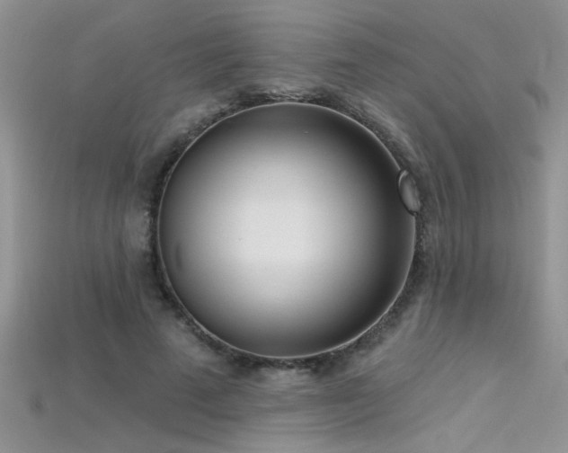 X0000115690689200911121308