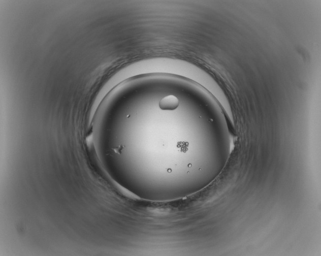 X0000115690693200911121308