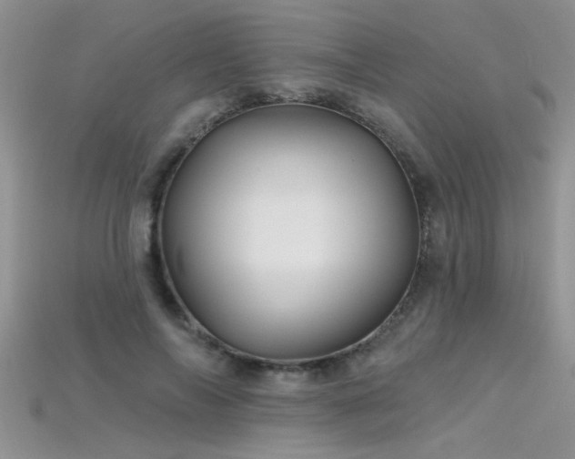X0000115690694200911121308
