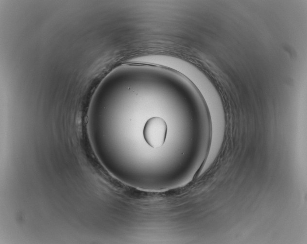 X0000115690696200911121308