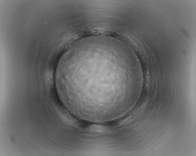 X0000115690699200911121308