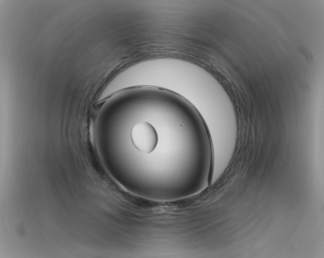 X0000115690700200911121308