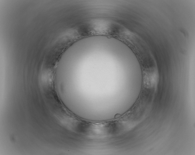 X0000115690701200911121308