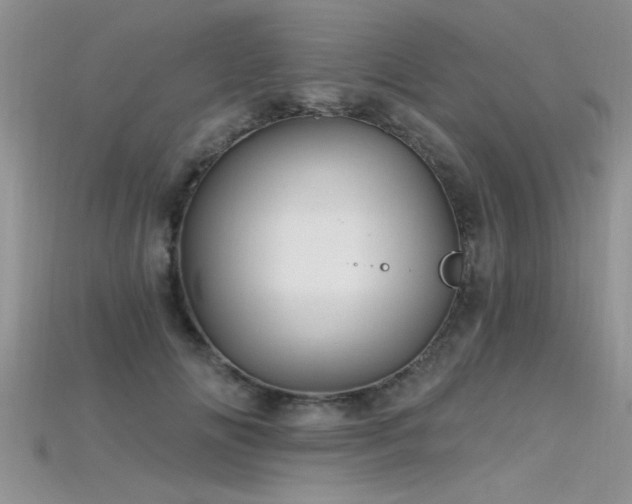 X0000115690702200911121308