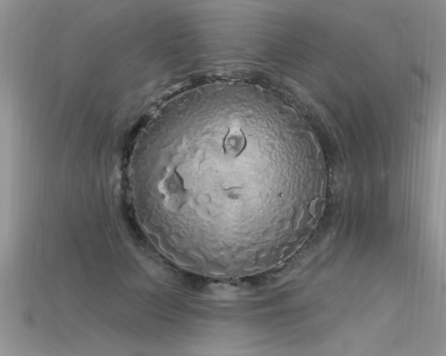 X0000115690703200911121308