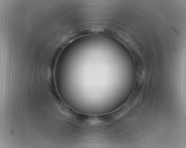 X0000115690704200911121308