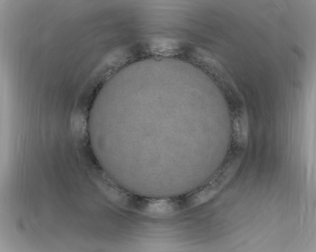 X0000115690705200911121308
