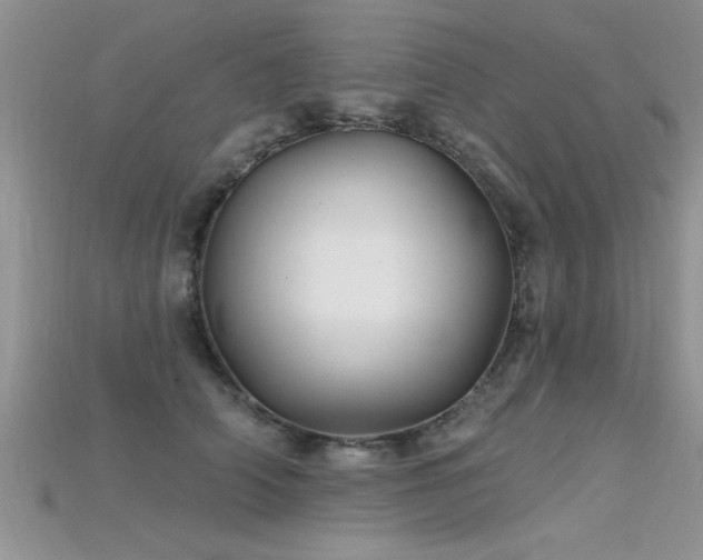 X0000115690706200911121308
