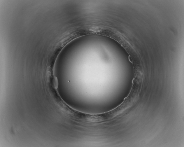 X0000115690707200911121308