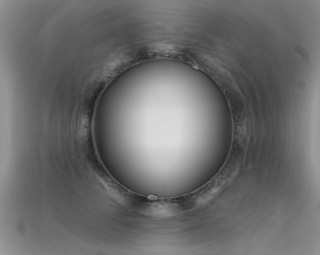 X0000115690708200911121308