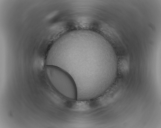 X0000115690709200911121308
