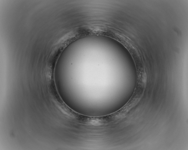 X0000115690710200911121308