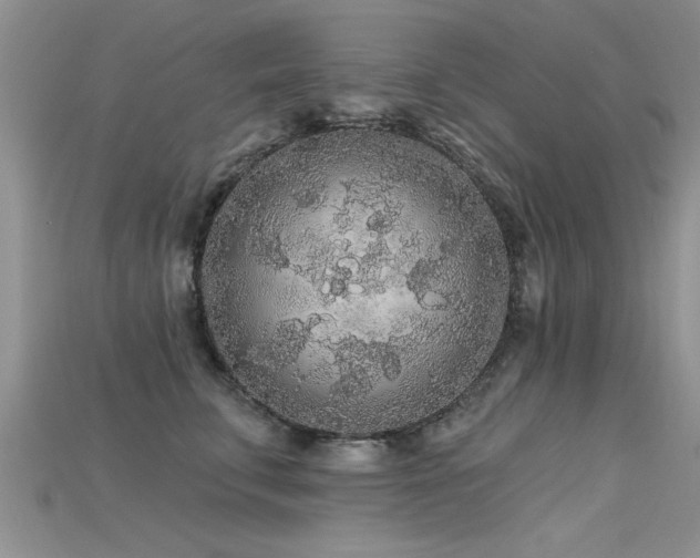 X0000115690711200911121307