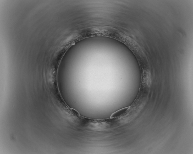 X0000115690712200911121307
