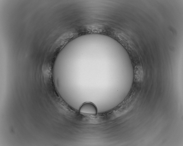 X0000115690713200911121307