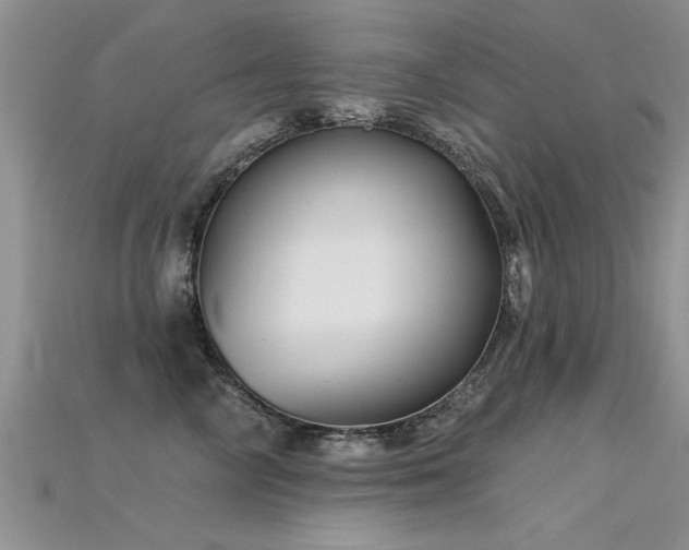 X0000115690714200911121307