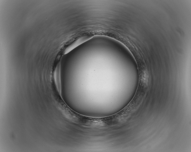 X0000115690715200911121307
