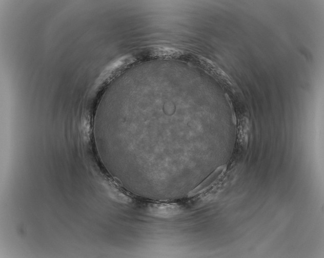 X0000115690716200911121307